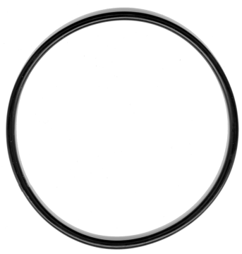 O-ring