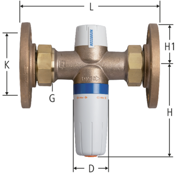 Riduttore di pressione con flangia - Sostituzione