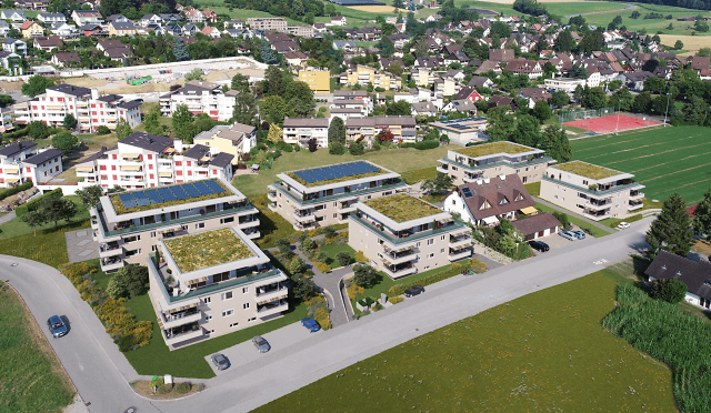 Bachperle Mettmenstetten