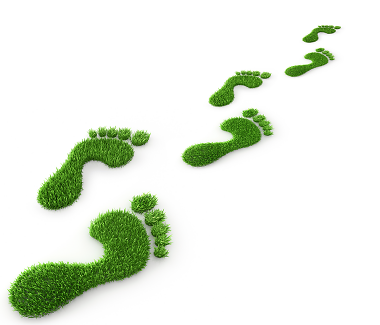 Bild Die Umwelt sind wir