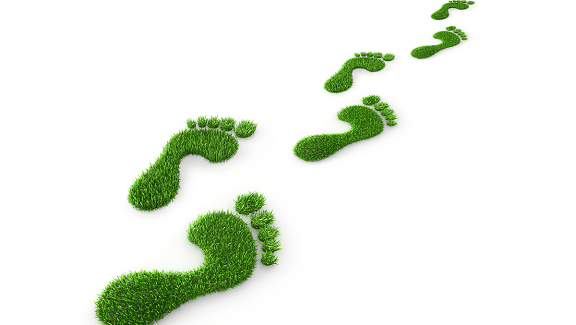 Bild Die Umwelt sind wir