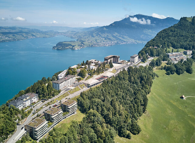 Nussbaum auf dem Bürgenstock9