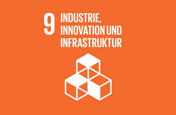 sdg 09