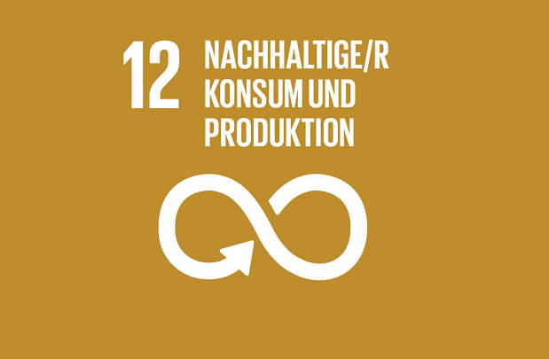 sdg 12