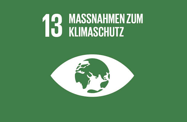 sdg 13