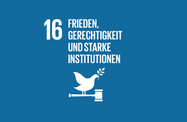 sdg 16 data