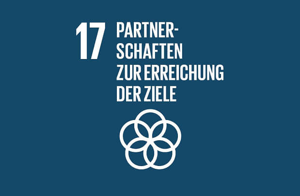 sdg 17